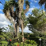 Baia - Seaside Peaceful Luxury With Garden In Sardinia - 300 Mt Beach&sea - Relax, Privacy & Full Comfort Villa